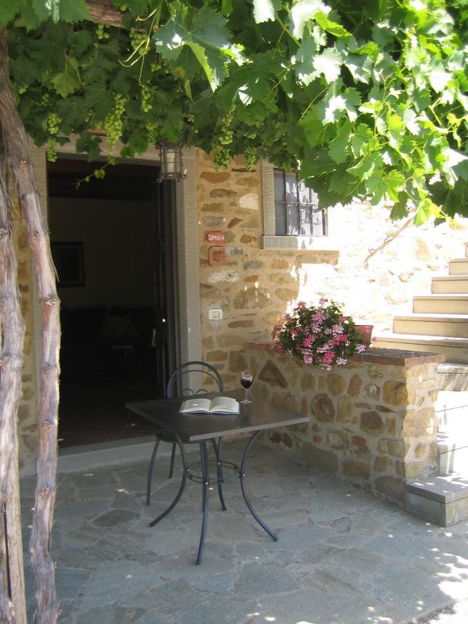Agriturismo L'Incrociata Bucine Bagian luar foto