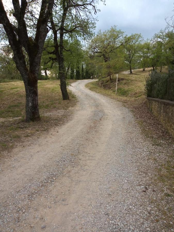 Agriturismo L'Incrociata Bucine Bagian luar foto